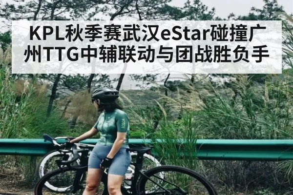KPL秋季赛武汉eStar碰撞广州TTG中辅联动与团战胜负手