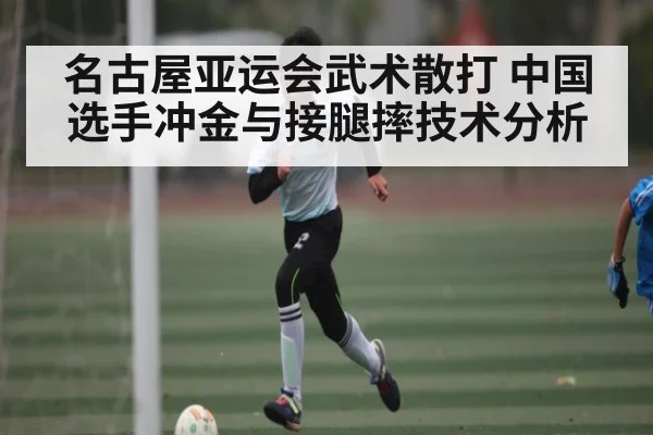 名古屋亚运会武术散打 中国选手冲金与接腿摔技术分析
